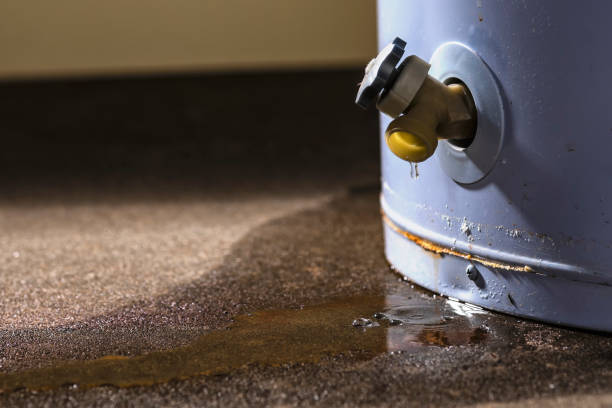 Best Basement water damage restoration  in West Mountain, UT