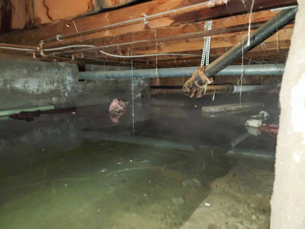  West Mountain, UT Water damage restoration Pros