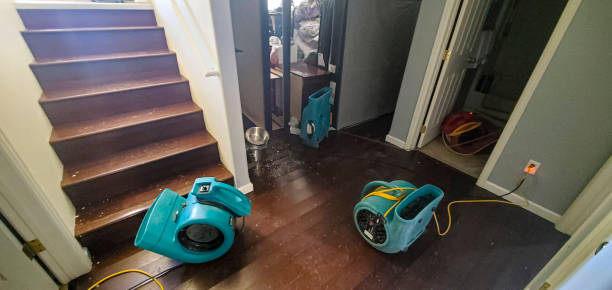 Best Water damage cleanup near me  in West Mountain, UT