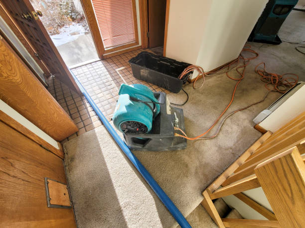 Best Water damage repair service  in West Mountain, UT