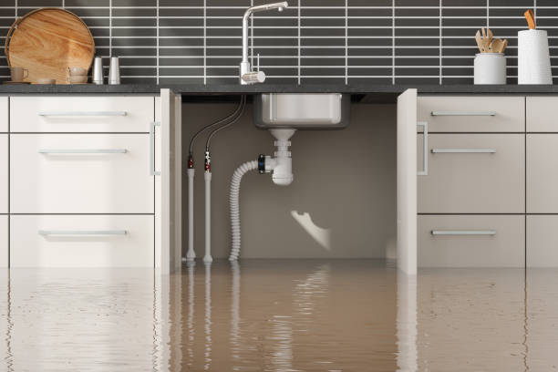 Best Flooded house restoration  in West Mountain, UT