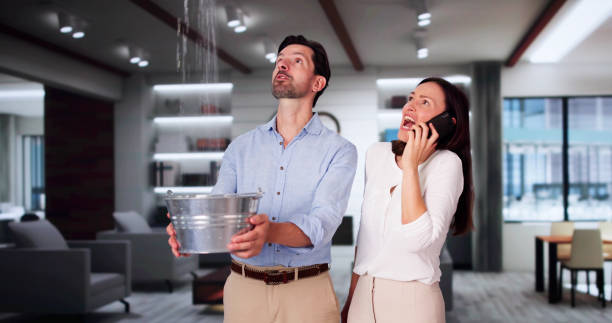 Best Ceiling water damage repair  in West Mountain, UT